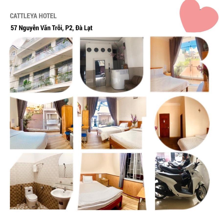 דה לאט Cattleya Hotel מראה חיצוני תמונה